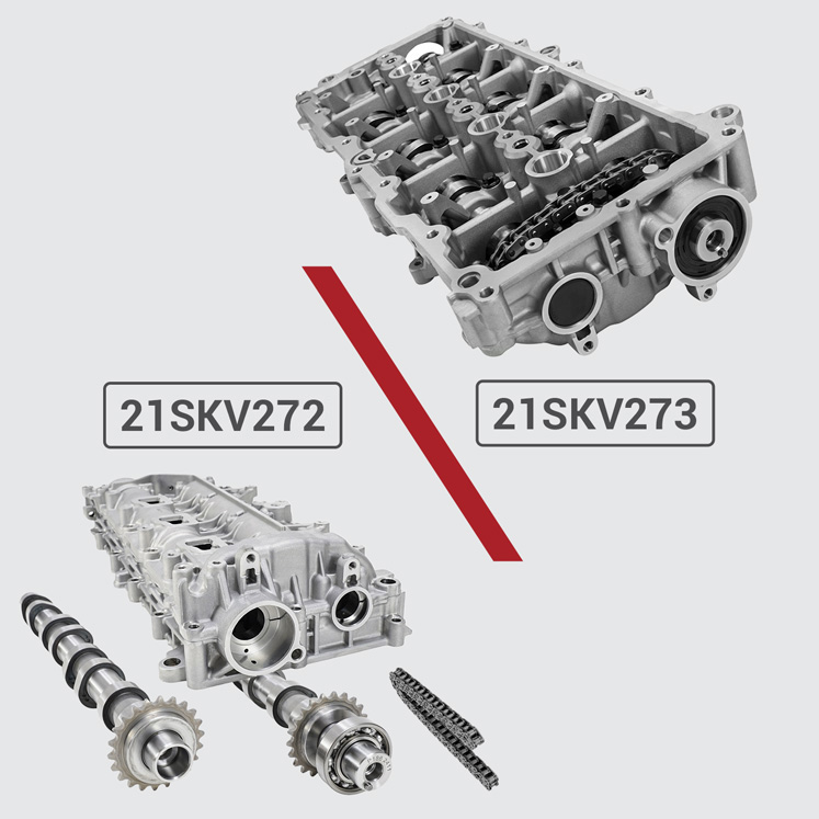 How 21SKV273 differs from 21SKV272